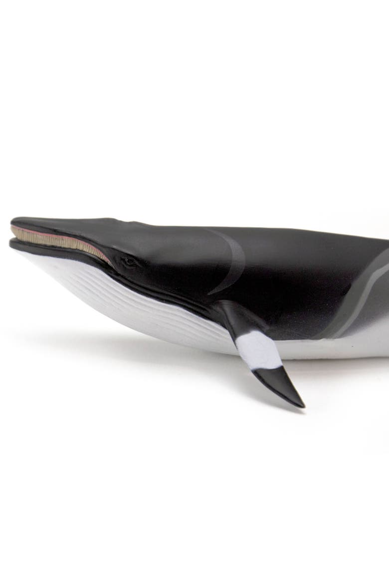 Minke Whale Toy, Alternate, color, No Color