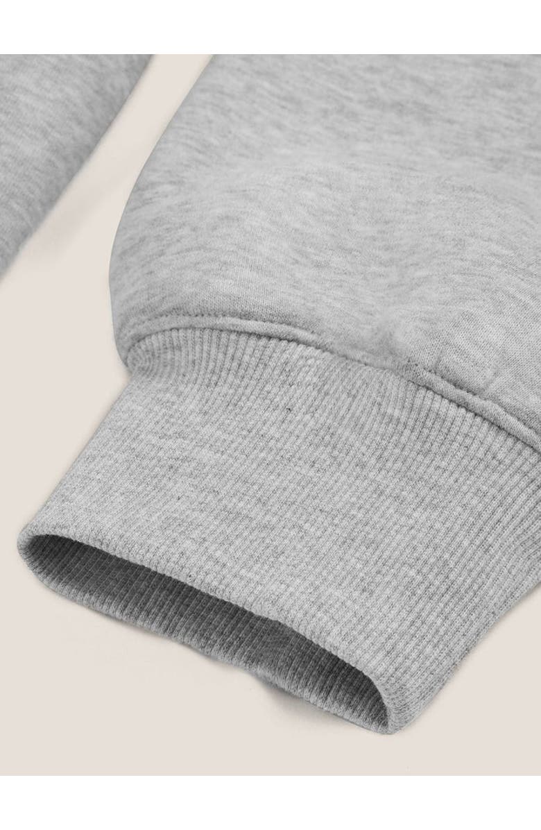 AELFRIC EDEN Cloud Essential Fleece Pullover Hoodie Super Baggy Set, Alternate, color, Grey