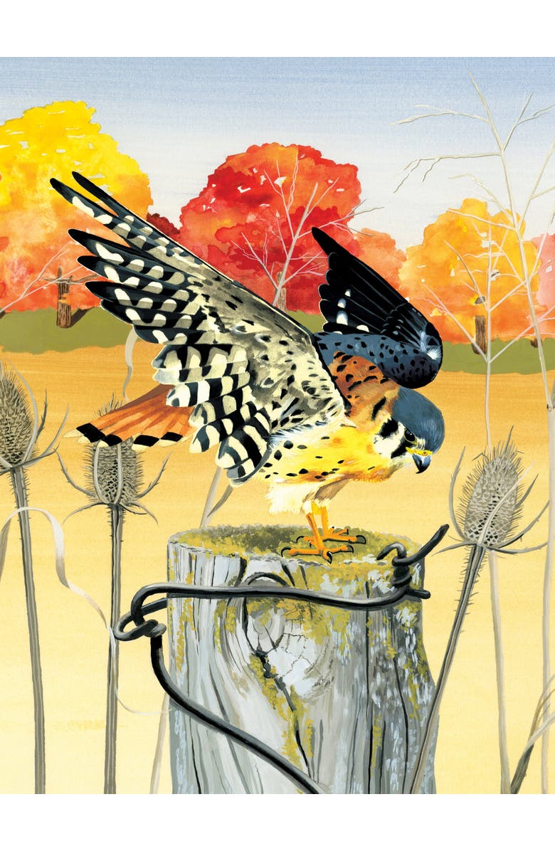 NEW YORK PUZZLE COMPANY American Kestrel 1000 Piece Puzzle, Alternate, color, NO COLOR