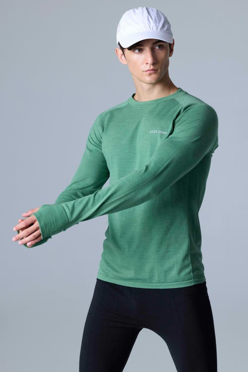 Cozy Zero Tech Merino Classic Fit Long Sleeve Top In Smoke Green