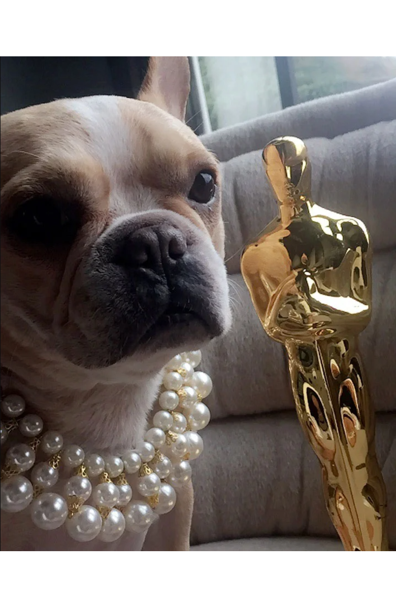 Moshiqa Dubai Dog Necklace, Alternate, color, 