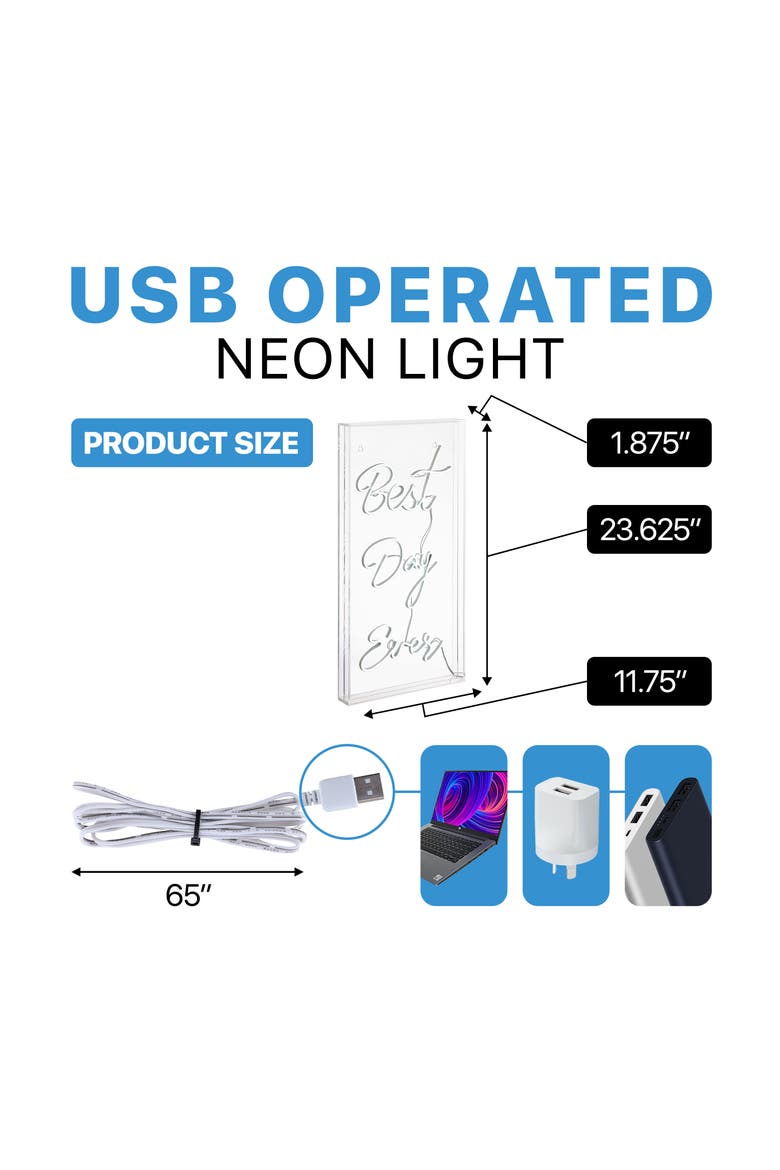 Best Day Ever 11.75" X 23.63" Contemporary Glam Acrylic Box USB Operated LED Neon Light, White, Alternate, color, White