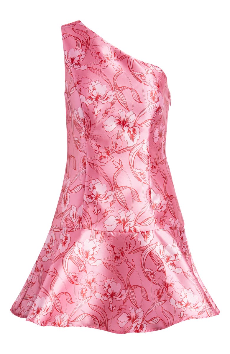 Hutch Silas Floral Print One-Shoulder Minidress, Alternate, color, Pink/ Red Orchids
