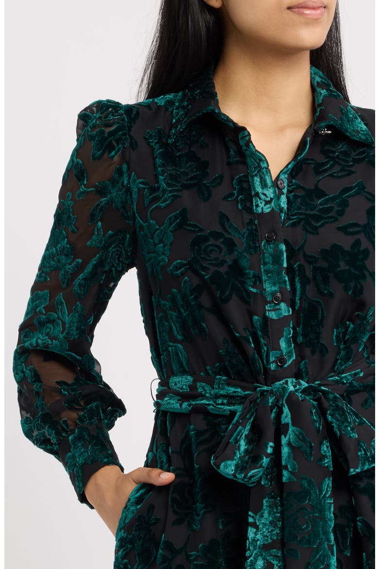 Tiered Tie Waist Long Sleeve Burnout Shirtdress, Alternate, color, DEEP JADE / ANNE BLACK