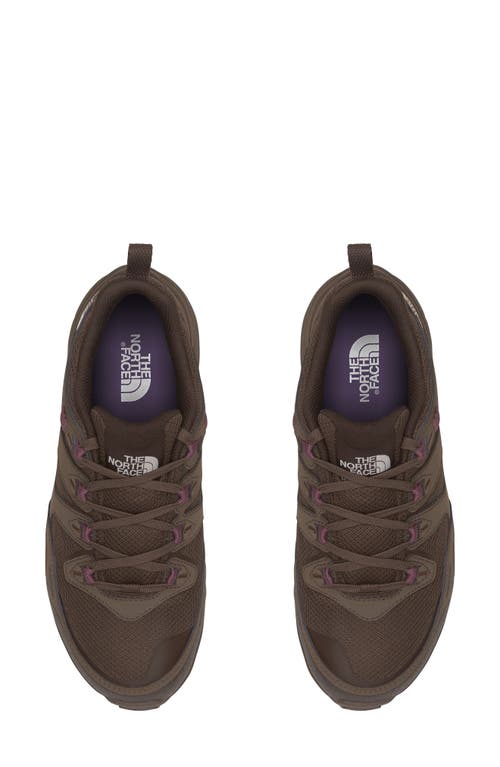 The North Face Hedgehog 3 Waterproof Hiking Sneaker