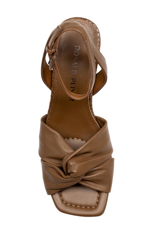 Donald Pliner Gideon Ankle Strap Sandal In Brown