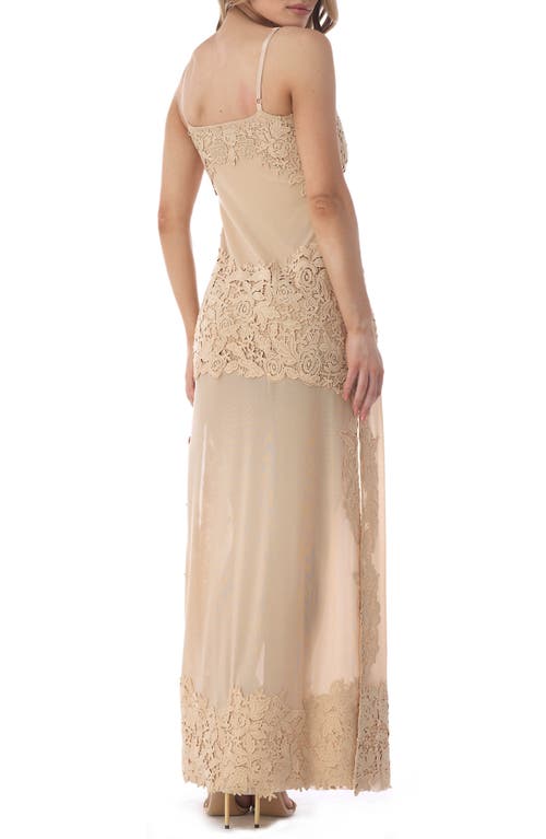 Sky Embroidered Lace Detail Mesh Maxi Dress In Neutral
