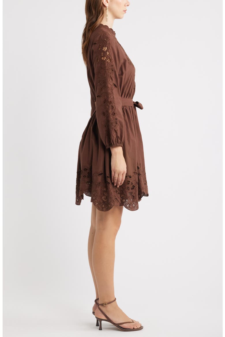 Embroidered Long Sleeve Tie Waist Minidress, Alternate, color, BROWN BITTER