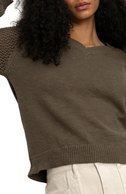 Sanctuary Perfect Time Cotton Sweater In Brown