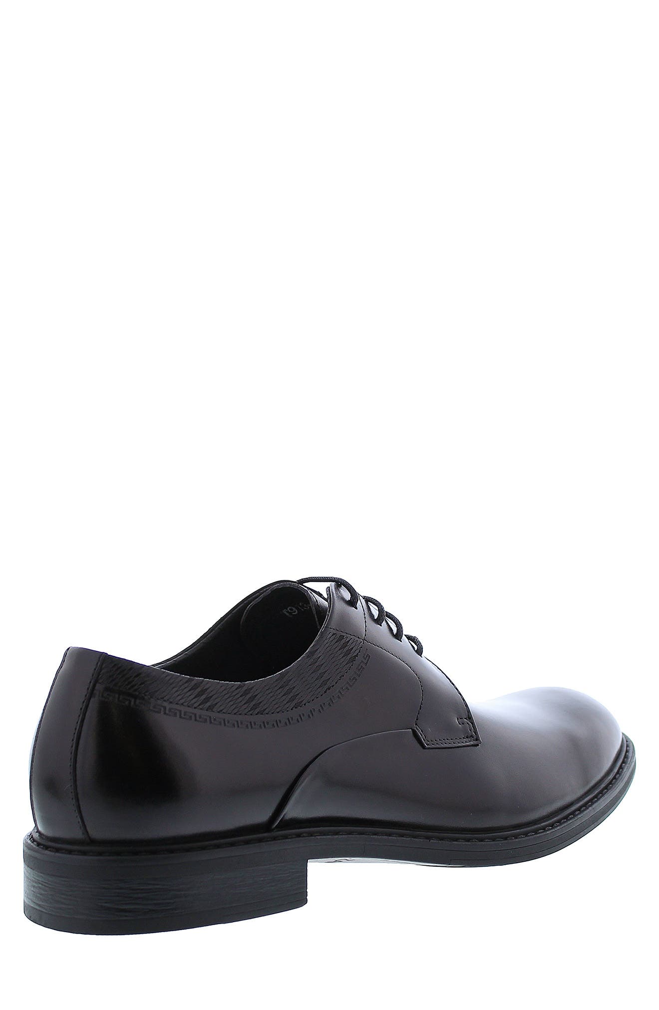 Zanzara Mick Oxford, Alternate, color, 