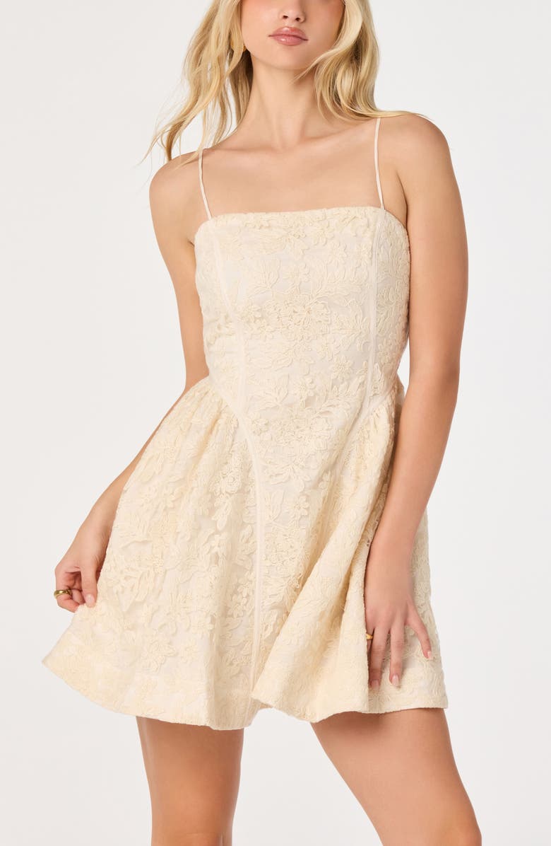 ASTR the Label Natalya Embroidered Lace Cotton Blend Minidress, Alternate, color, Cream