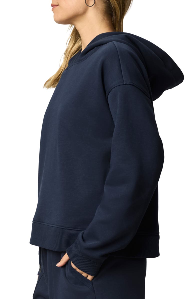 Splendid Goldie Hoodie, Alternate, color, Navy Blue