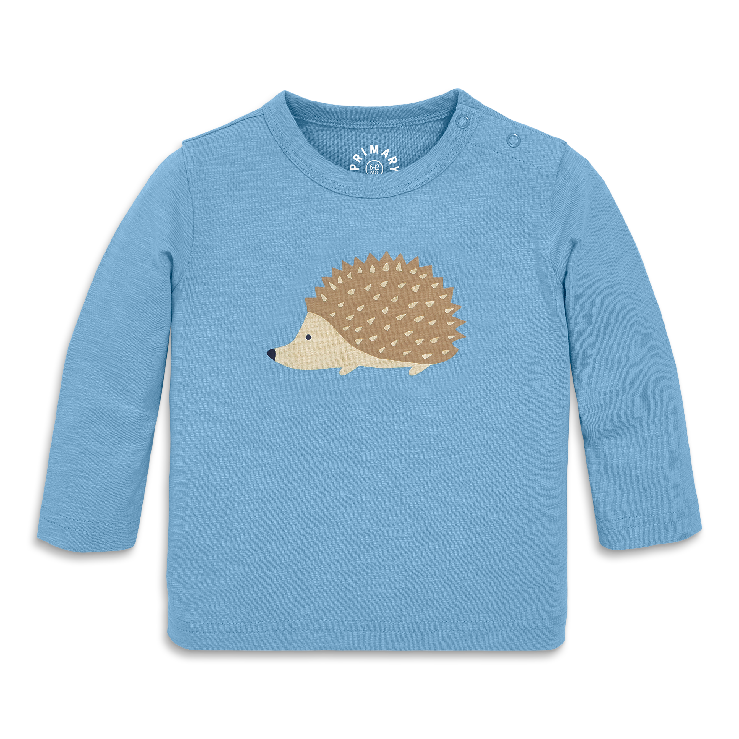 selected Cornflower Hedgehog