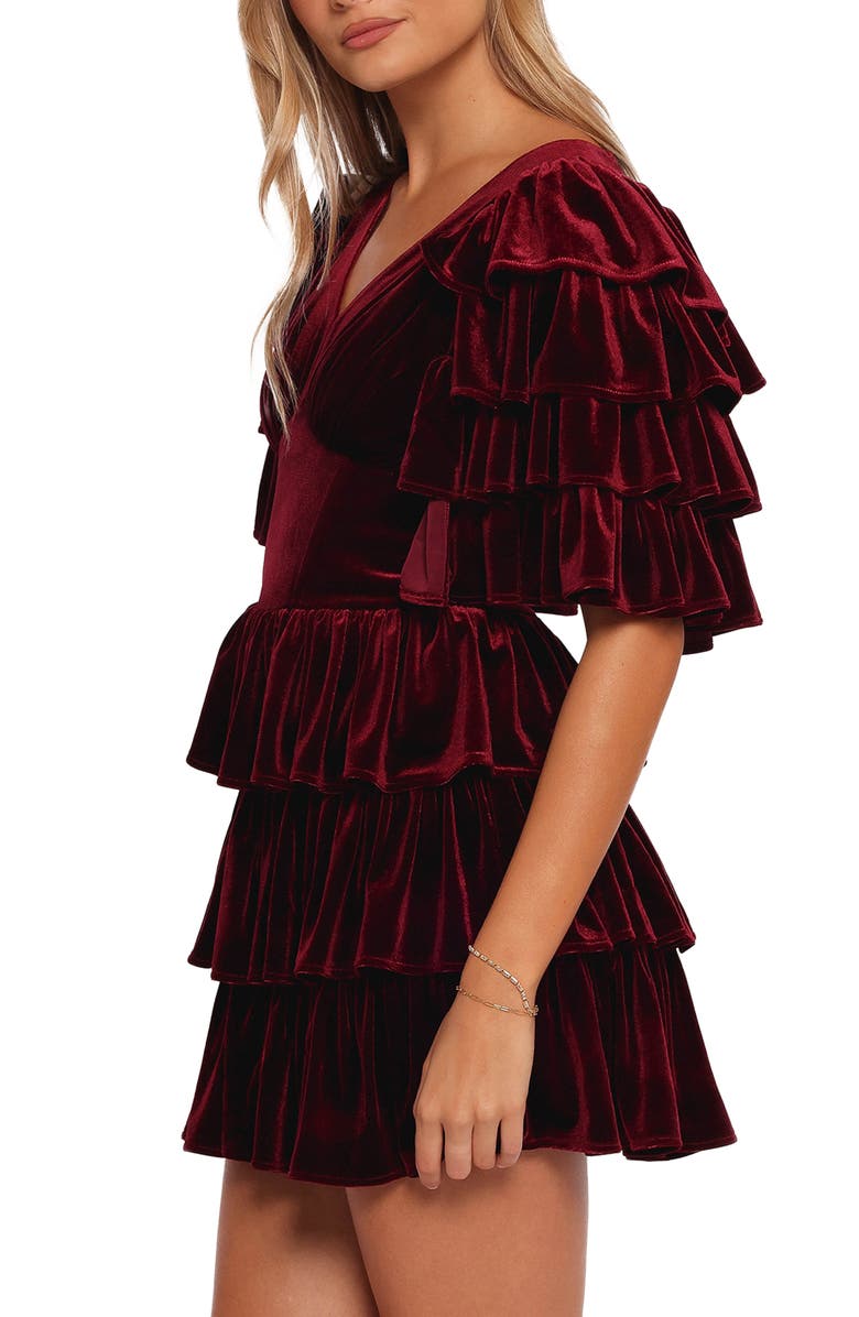 Petal & Pup Agnes Ruffle Velvet Tunic, Alternate, color, Wine