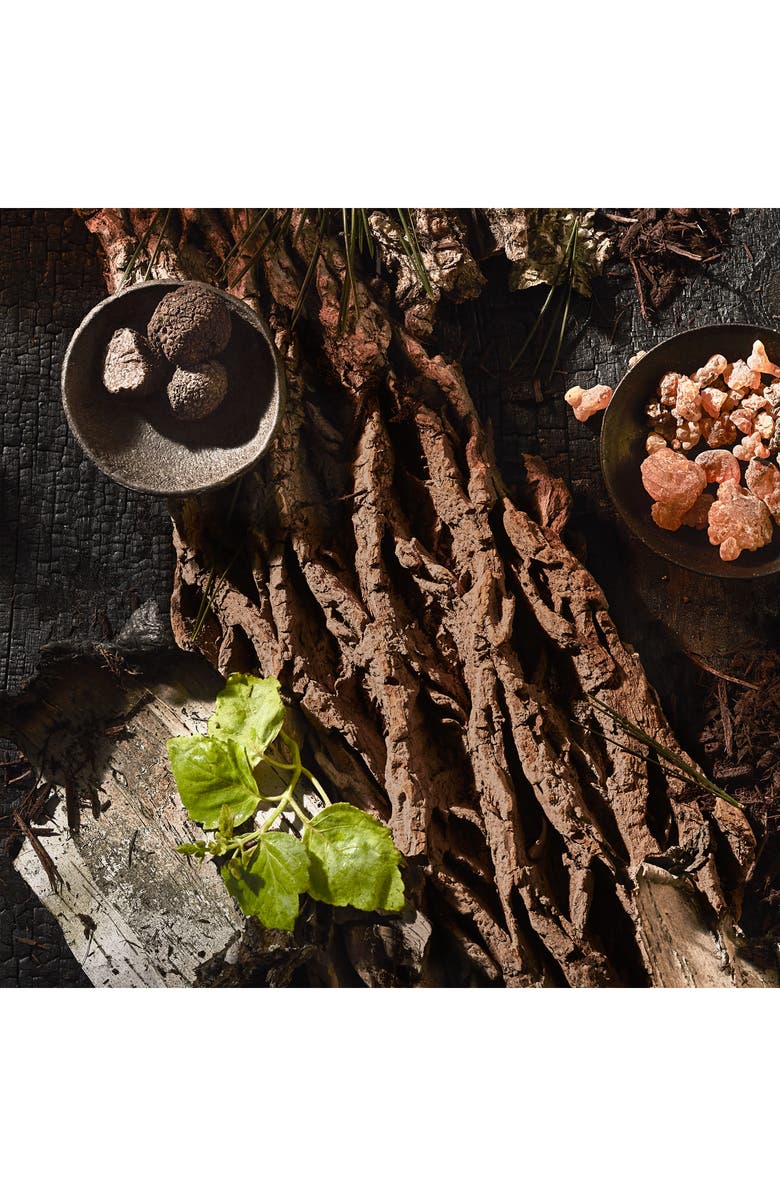 NEST New York Charcoal Woods Scented Candle, Alternate, color, 