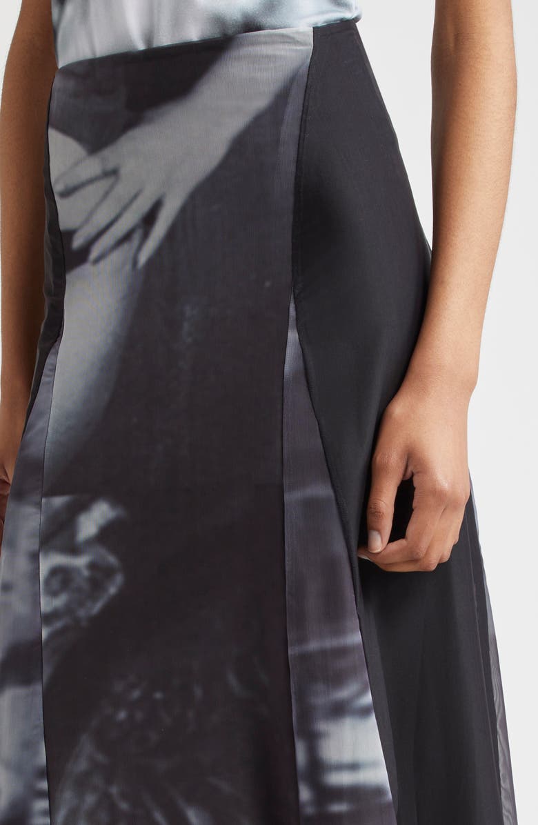ELLISS Noire Print Sheer Mesh A-Line Skirt, Alternate, color, 