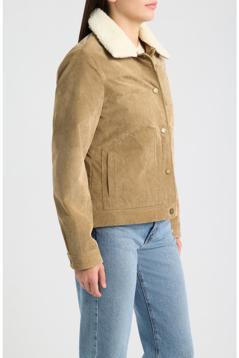 Wind Basin Corduroy Jacket, Alternate, color, OLD OAK