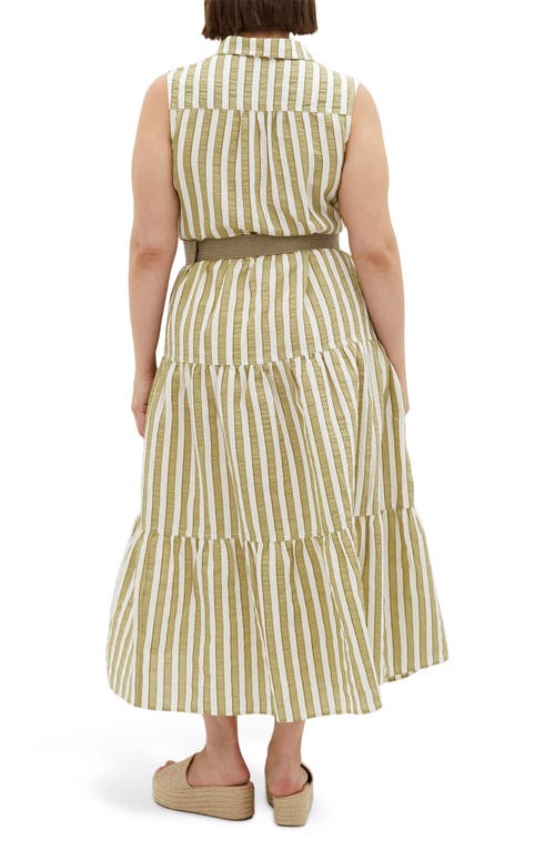 Shop City Chic Clean Lines Belted Midi Dress In Moss Stripe