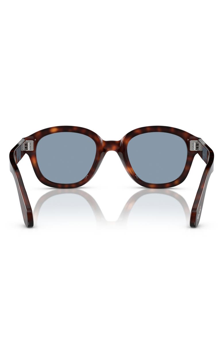 Persol 52mm Phantos Sunglasses, Alternate, color, Havana/ Blue