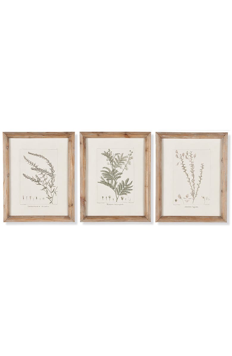 Napa Home & Garden Botanical Illustrations Set of 9, Alternate, color, Grey