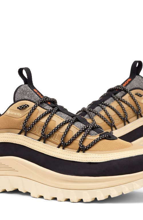 Sorel Callsign Horizon™ Low Gtx Gore-tex® Waterproof Sneaker In Neutral