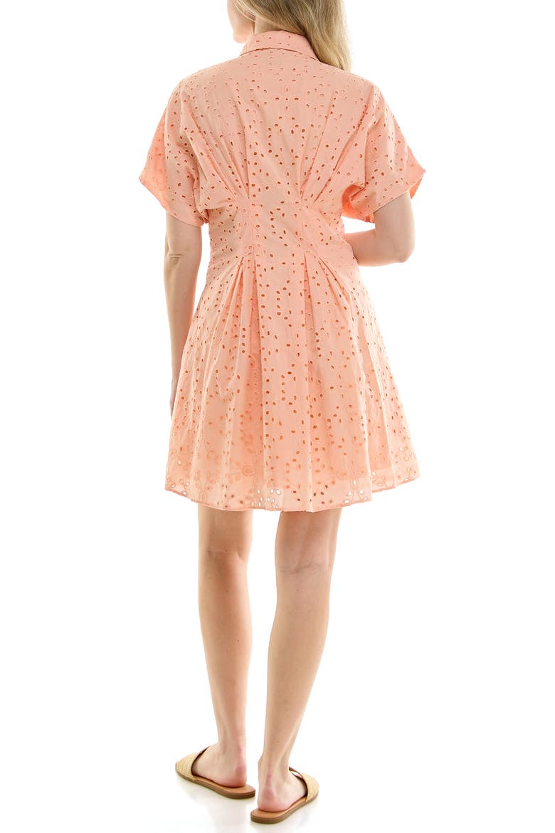 Cotton Broderie Anglaise Mini Shirtdress, Alternate, color, DUSTY PEACH