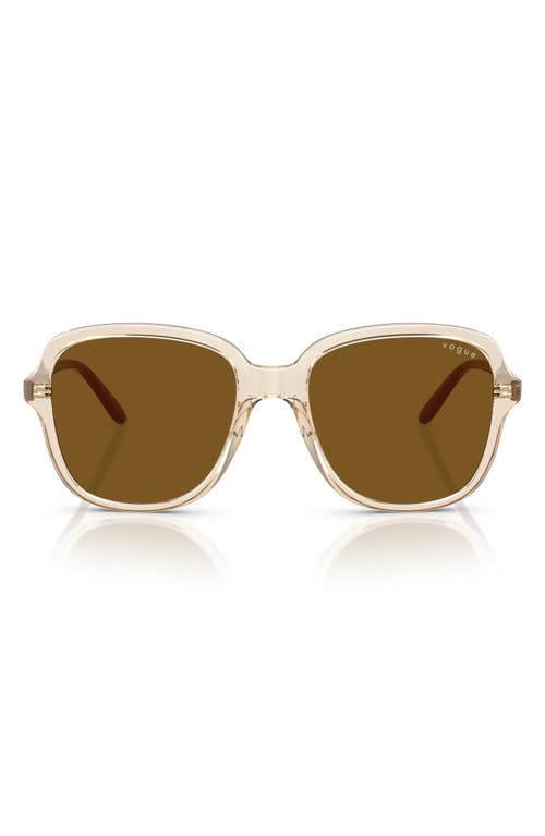 Vogue 53mm Square Sunglasses In Brown