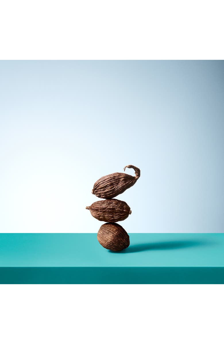 Tiffany & Co. Tiffany & Love Eau de Toilette for Him, Alternate, color,