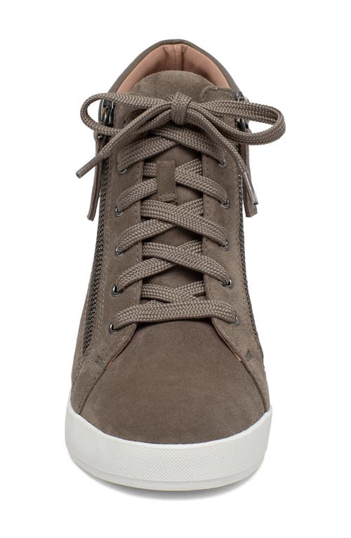 Linea Paolo Gaines Hidden Wedge Sneaker In Brown
