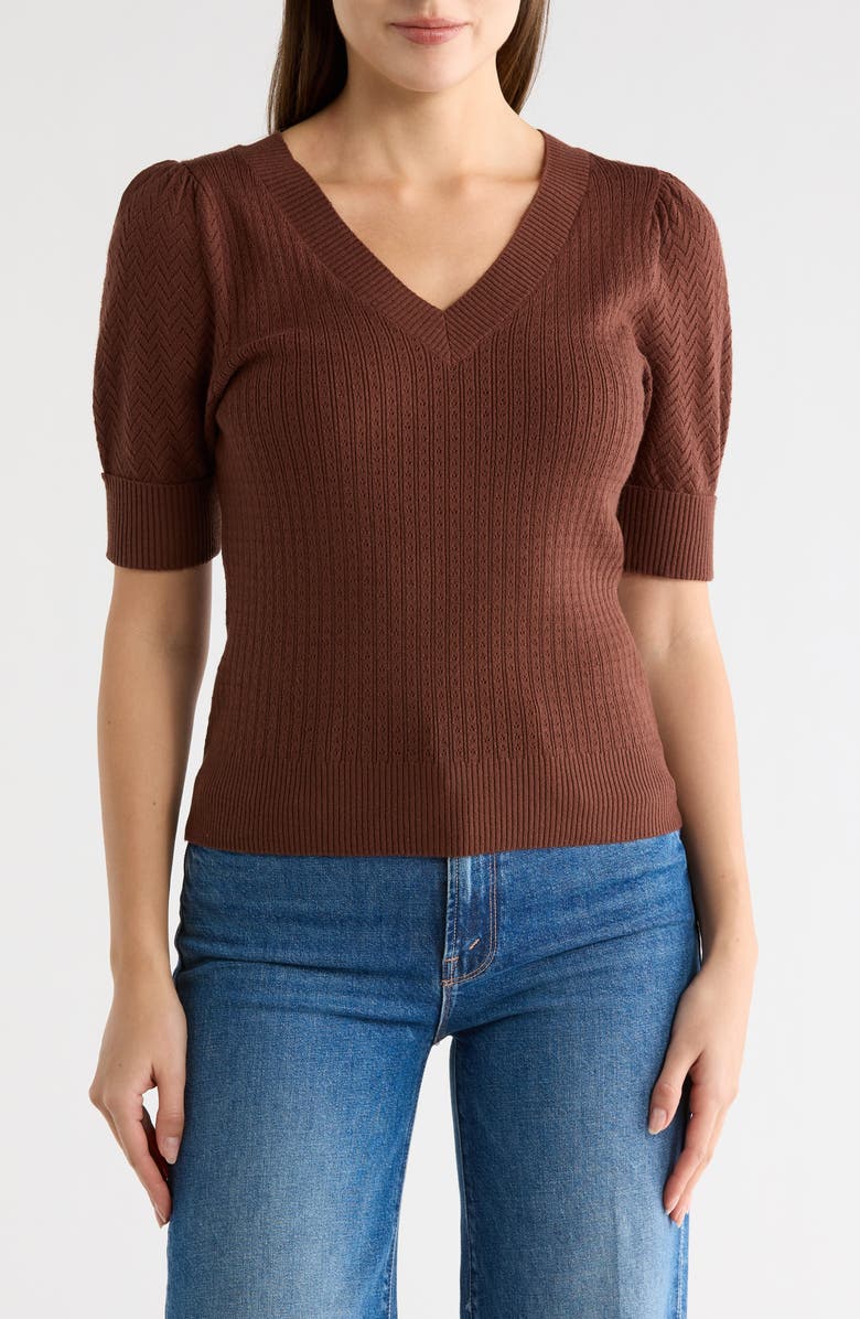 DR2 by Daniel Rainn Pointelle Stitch Sweater, Main, color, New Chocolate