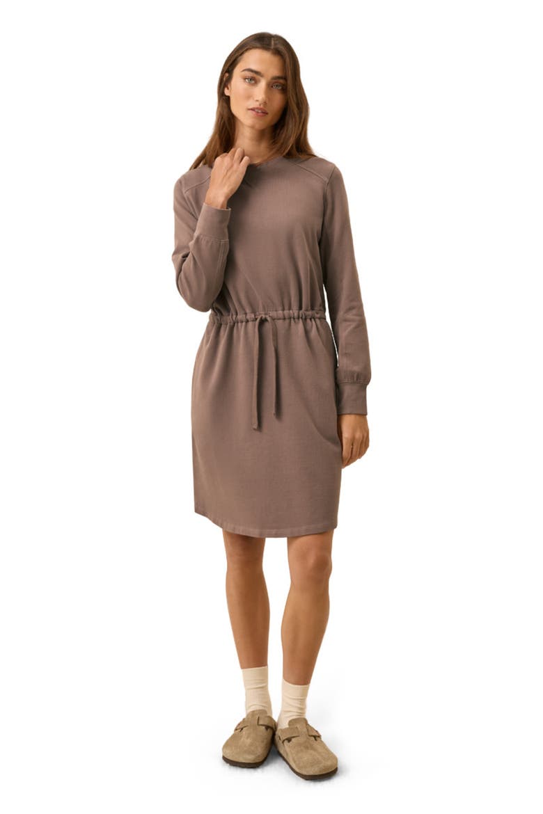 Organic Cotton CloudKnit Sweatshirt Dress, Main, color, Deep Taupe