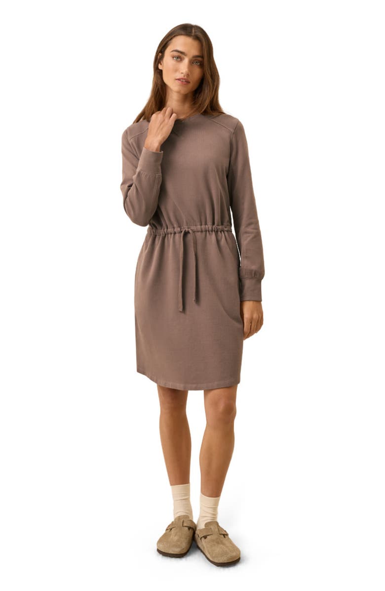 Pact Organic Cotton CloudKnit Sweatshirt Dress, Main, color, Deep Taupe