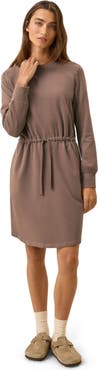 Pact Organic Cotton CloudKnit Sweatshirt Dress