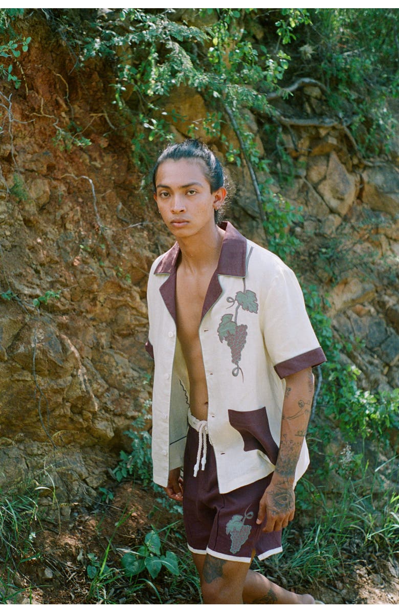 Tombolo 'Tombarolo' Cabana Shorts, Alternate, color, Pale White Wine