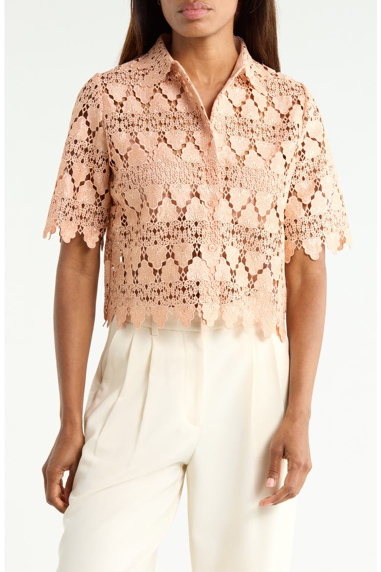 Lace Button-Up Shirt, Main, color, BLUSH