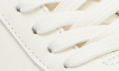 Dolce Vita Diane Sneaker In Neutral