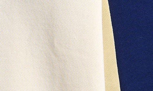 Billionaire Boys Club Kids' Pixel Colorblock Long Sleeve Graphic Polo In Neutral