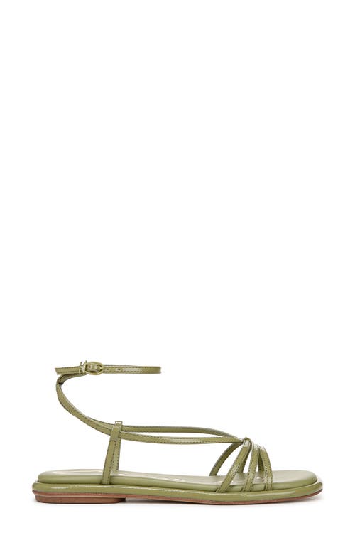 Circus Ny By Sam Edelman Olana Strappy Flat Sandals In Green Fern