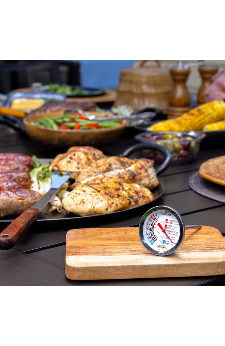 Maverick Gourmet Roasting Thermometer, Alternate, color, Silver