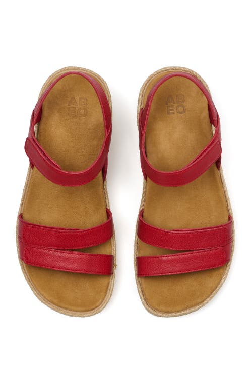 Abeo Solstice Strap In Red - Metatarsal