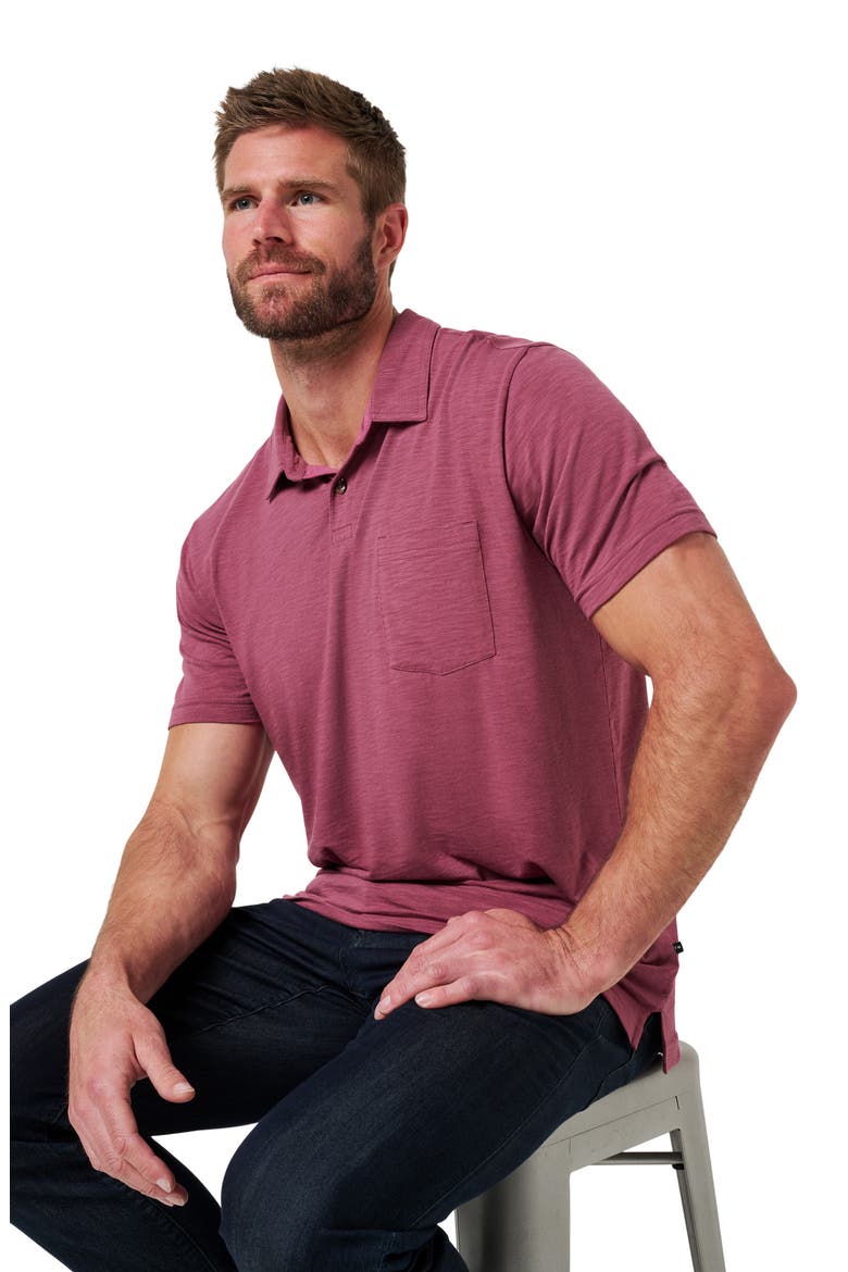 Cloud Slub Pocket Polo, Alternate, color, DAMSON