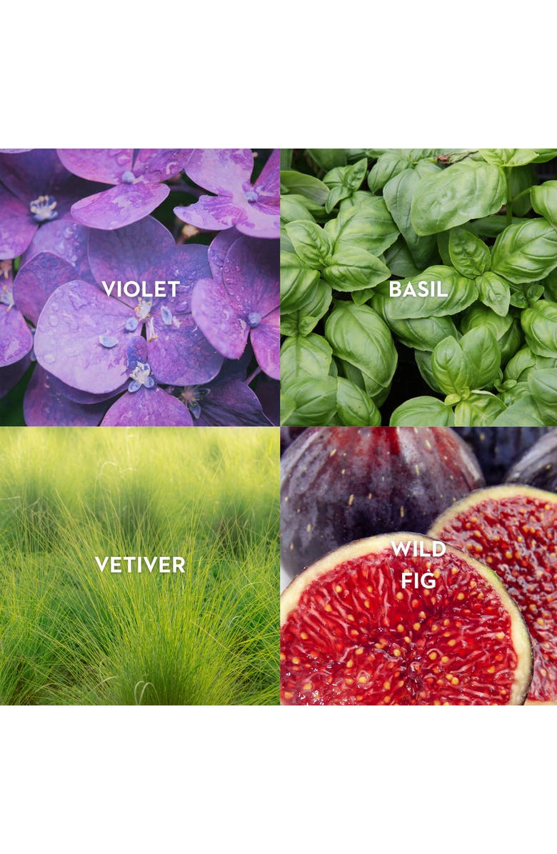 Vilhelm Parfumerie Basilico & Fellini Eau de Parfum, Alternate, color, 