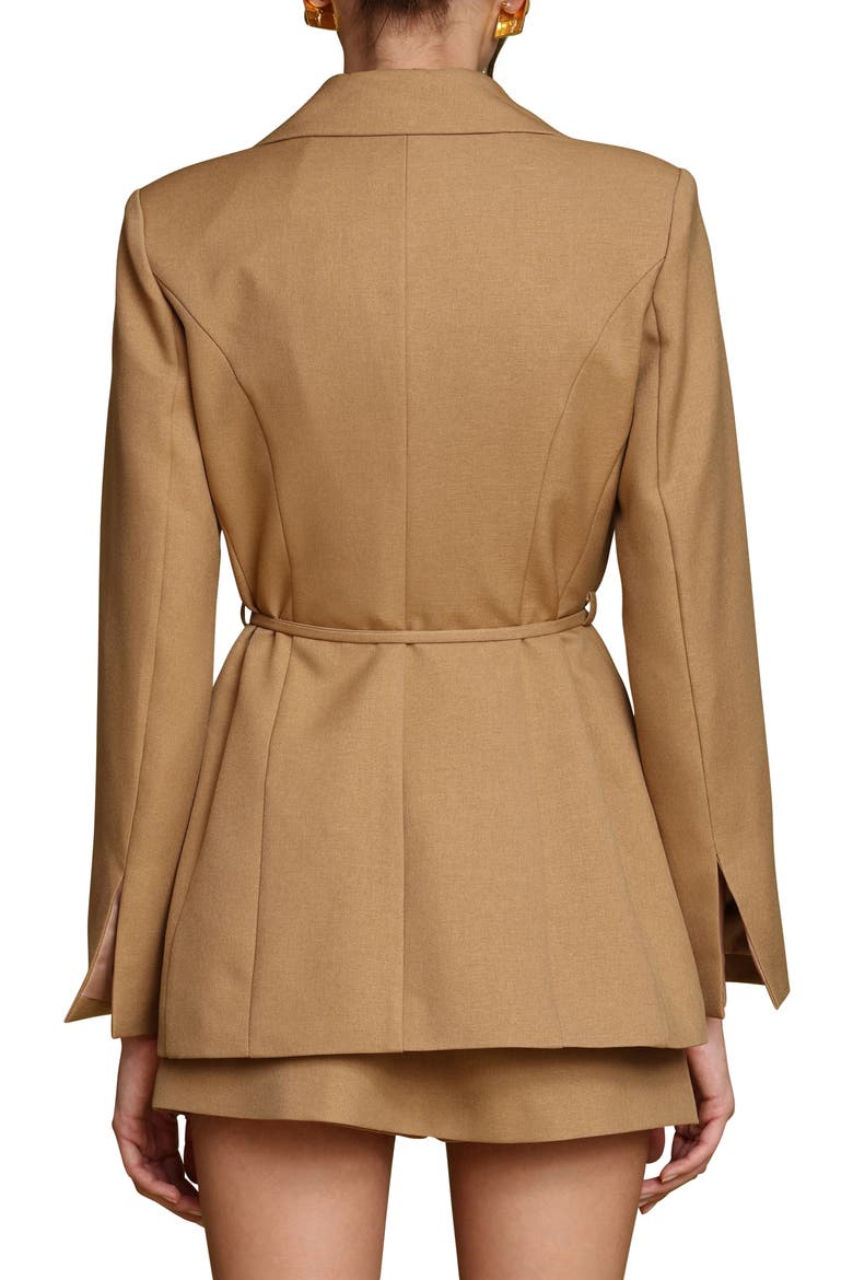 Tie Waist Cutaway Blazer, Alternate, color, HONEY