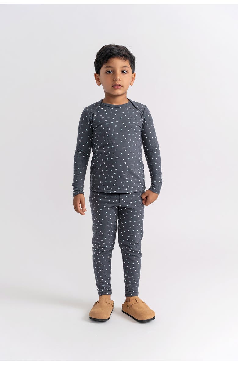 Fragile Boy Bird Print 2 Piece French Fleece Top and Pants Set, Alternate, color, Navy