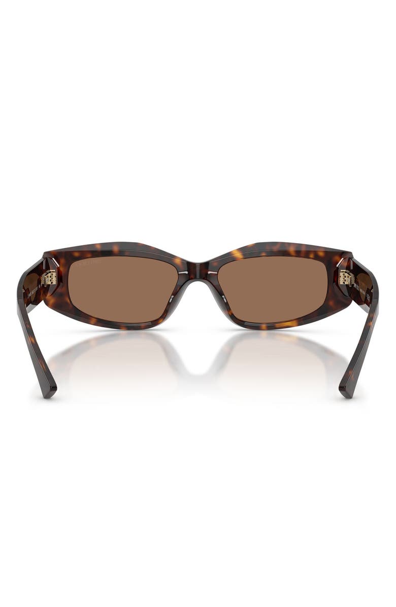 Jimmy Choo 53mm Irregular Sunglasses, Alternate, color, Havana / Dark Brown