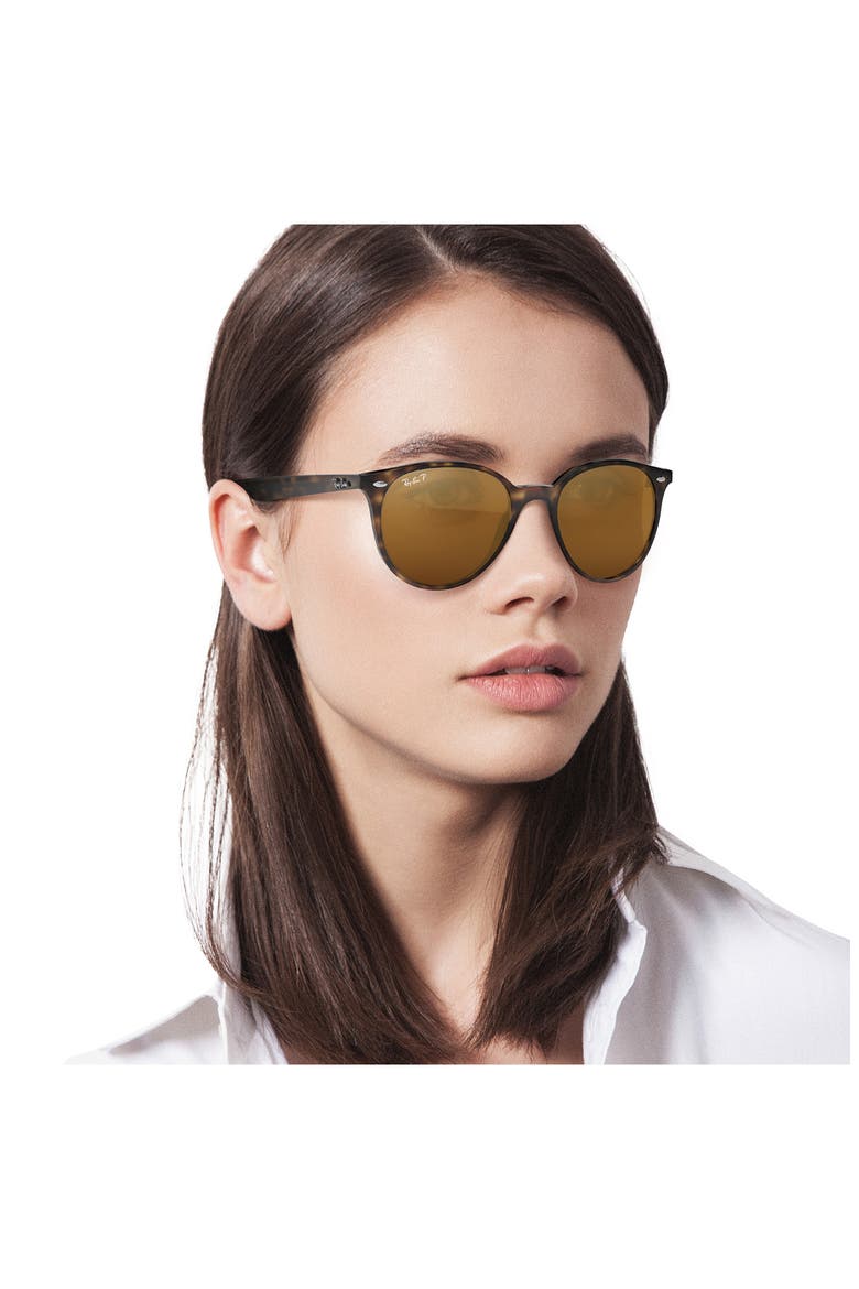Phantos 53mm Polarized Round Sunglasses, Alternate, color, HAVANA/ BROWN SOLID