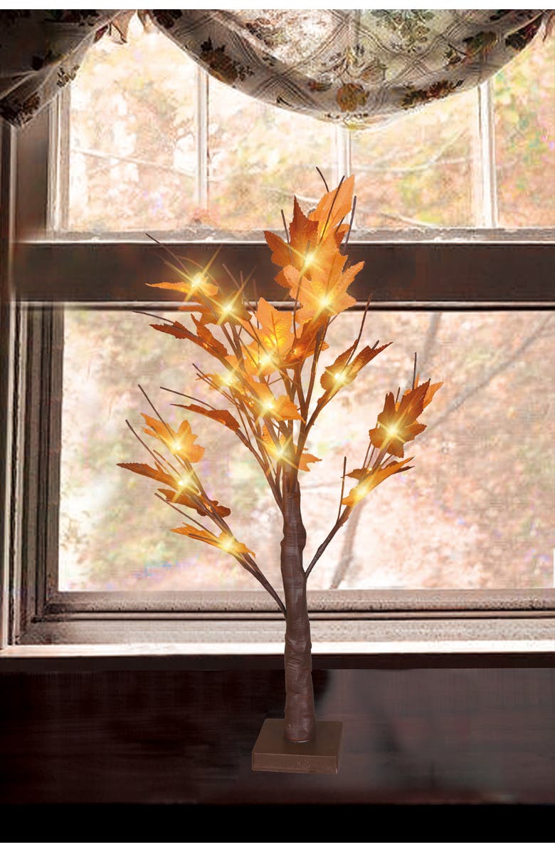 Northlight 2' Pre-Lit Maple Artificial Fall Harvest Tree- Clear LED Lights, Alternate, color, Brown