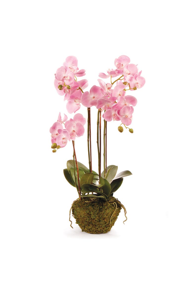 Phalaenopsis Orchid Faux (Fake) Drop-In 30", Main, color, Pink