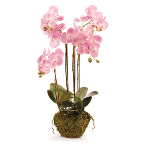 Phalaenopsis Orchid Faux (Fake) Drop-In 30"