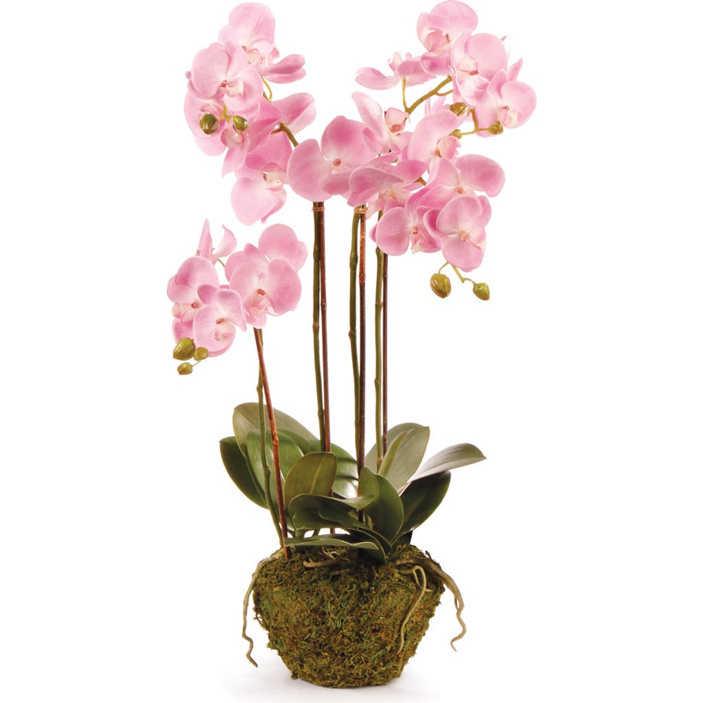 Napa Home & Garden Cc 30in Phalaenopsis Pink Drop In In Multi